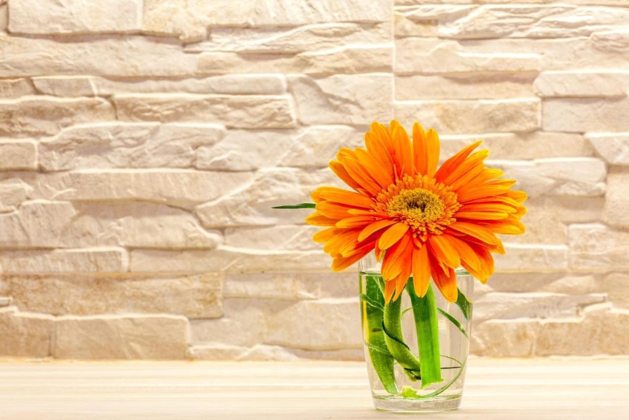 Classy Apartment In The Center Of Split Buitenkant foto